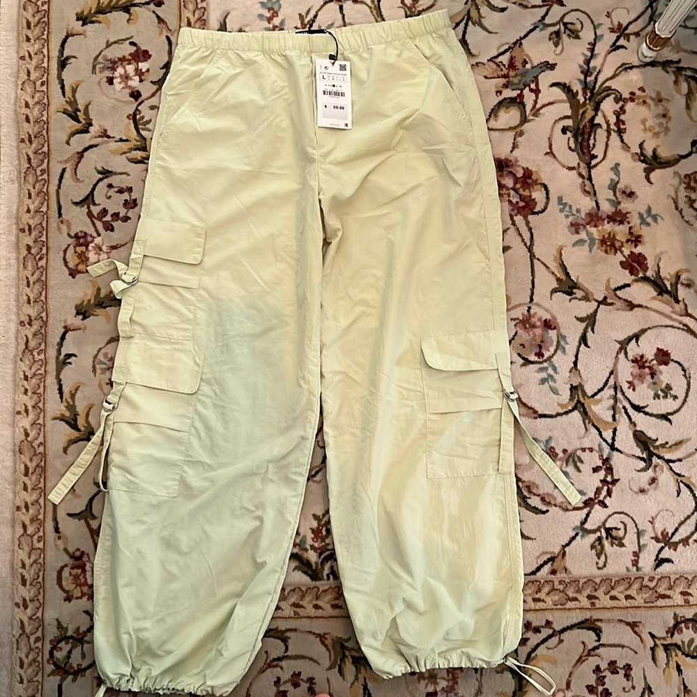 Zara pastel green pants